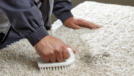 Professional Rug Cleaning Batman